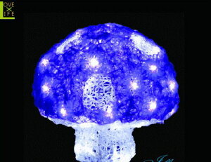 y20 zNX^ LmR p[vyMTCYzyLEDzŷzy؁zybzN̐VLmRV[YIJ[fUCLxły2013NVzyzylCzyC~