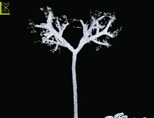 yLEDzyC~l[Vzy^izLEDNX^ t@^W[ c[y؁zyRzyc[zy؁zyXсzyEbhzyfUCzyuzydzy`[tzyNX}