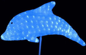 20 @LED CJ@3D@́@Aj}@C@LED@CJ̐VI̓|[ŗĂ^CvIђ˂\yz@NX}X@C~l[V@d@`[t