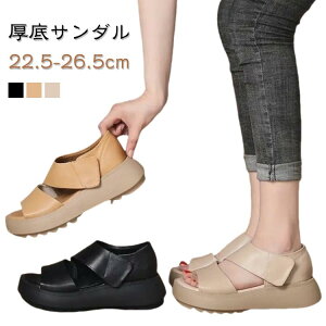 gȌT_ lԍHw ₷ yʐ݌v fB[X t Od T_ 5cm ~ L ʋC gȌT_ JWAV[Y  EH[LOV[