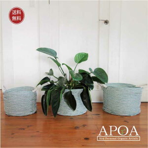 ݌ɏ oXPbg F 3TCY  Jo[ S~