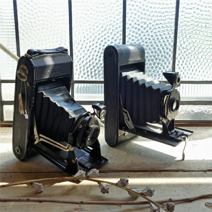 楽天市場】蛇腹カメラ ZEISS IKON ツァイス・イコン 古いカメラ ドイツ 