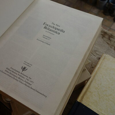 古書古い本洋書1冊Lサイズ黒茶ベージュオールドブックイギリス英国製アンティーク紙物文具