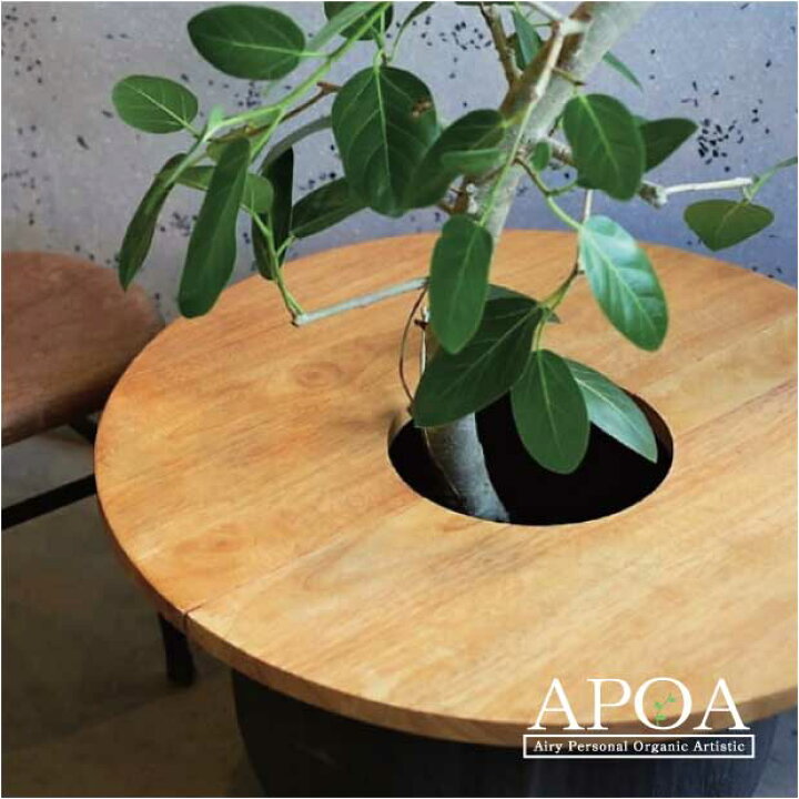 楽天市場】ポットテーブル 植物とテーブル 組立式 簡単 : APOA