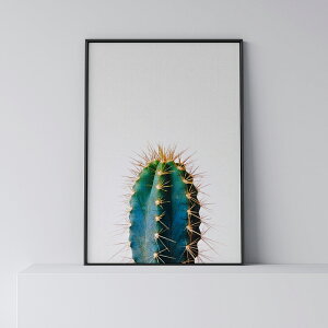 �|�X�^�[ �k�� ������� �C���e���A �A�[�g �A�[�g�p�l�� �y Cactus 1 �z �T�{�e�� �A�� ���_�� �V���v�� �t���[���t�� A0 A1 B1 A2 B2 A3 B3