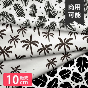 mv1mȏőnn k z V[`O k  A [t V̖ mg[ 啿