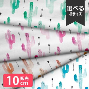 mv1mȏőnn k z V[`O k  A T{e | 啿