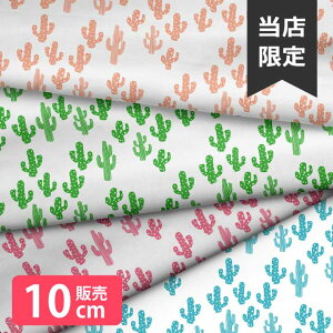 mv1mȏőnn k z V[`O k  A T{e Vv 唻