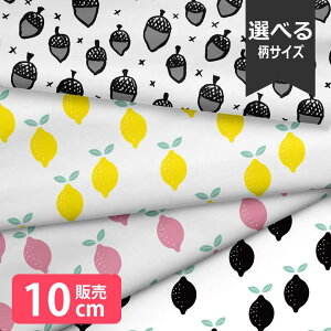 mv1mȏőnn k z V[`O k  ʕ  ǂ񂮂 킢 mg[ 啿