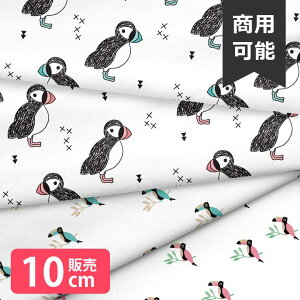 mv1mȏőnk z V[`O k   킢 Vv 唻