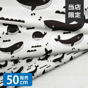 mv1mȏőnBubble Fish BW/LSS n w  k V[`On  z j̎q ̎q 킢 GOOD NX}X k