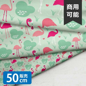 mv1mȏőnFlamingo Pool/LSS n w t~S k V[`On  z j̎q ̎q 킢 GOOD NX}X k