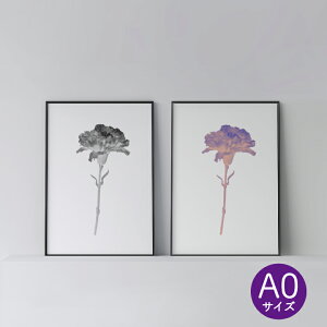 _SUPER SALEz^|X^[ k  CeA A0 A[g A[gpl y flower carnation z  {^jJ _ Vv