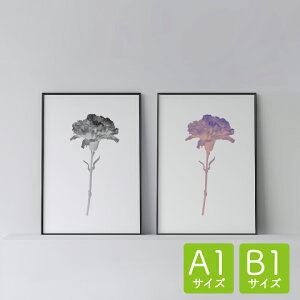 _SUPER SALEz^|X^[ k  CeA A1 B1 A[g A[gpl y flower carnation z  {^jJ _ Vv