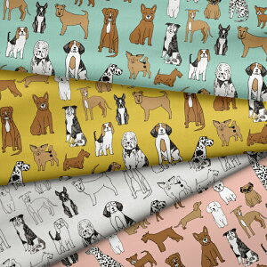 mv1mȏőn[Dogs] n k z V[`O k     mg[ 啿