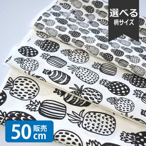 mv1mȏőnpineapple/AL n w k V[`On  z ̎q 킢 GOOD NX}X k