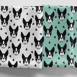 mv1mȏőnBoston Terrier/AL n k z V[`O k  Aj}  RE mg[ 唻