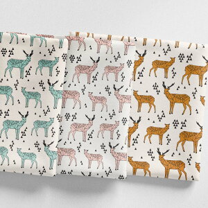 mv1mȏőn[Deergeo] n VJ k V[`On  z j̎q ̎q 킢 k