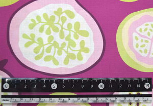 mv1mȏőnV[`On -Organic Fruits- 110cm×50cmn t[c ʕ k LoXn  z 킢 k