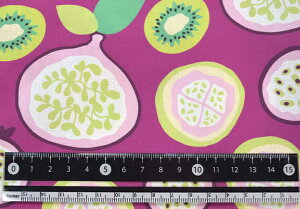 mv1mȏőnV[`On -Organic Fruits- 110cm×50cmn t[c ʕ k LoXn  z 킢 k