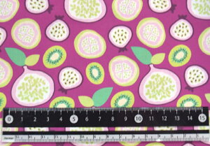 mv1mȏőnV[`On -Organic Fruits- 110cm×50cmn t[c ʕ k LoXn  z 킢 k