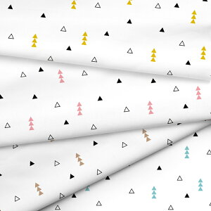 mv1mȏőntriangle/LSS n k z V[`O k  􉽊w͗l Op Vv 唻