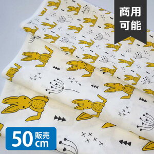 mv1mȏőnRabbitdoll/AL n w k V[`On  z ̎q 킢 GOOD NX}X k