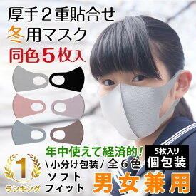 1000円ポッキリ 送料無料 マスク 洗える 5枚入り 厚手 個包装 女性用 男性用 子供