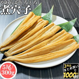 【高評価レビュー4.80点】 活〆やわらか 煮穴子 300g 5尾 冷凍品 中国原料 中国加工 煮アナゴ 煮あなご 穴子 あなご アナゴ お誕生日 送料無料 業務用 おかず 和風 惣菜 総菜 肴 お弁当 食品 ギフト お中元 お歳暮 煮魚