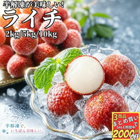 半解凍が美味しい 冷凍 ライチ 2kg/5kg/10kg【冷凍品】 業務用 中国原料 送料無料 レイシ トロピカルフルーツ 南国フルーツ ギフト スイーツ おやつ デザート 誕生日 文化祭 屋台 夜食 お取り寄せ オードブル 果実