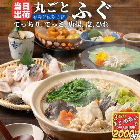 丸ごと一尾 とらふぐ身欠き 【冷凍品】 ふぐ 河豚 ふぐ鍋 ふぐちり てっちり 河豚鍋 てっさ ふぐちり鍋 送料無料 業務用 中国原料国内加工 冷凍 鍋 唐揚げ ふぐ刺し ふぐ刺身 正月 身欠き みがき ふぐみがき とらふぐ身欠き