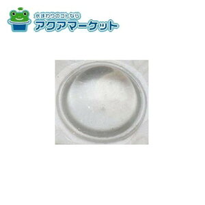 LIXILETEG[u o| i˓NbVF11.2 x H5.1mm) Lb`i [o|SJ5303X] 