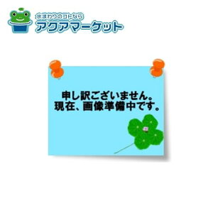風呂フタ(2枚組) 41220033 タカラスタンダード