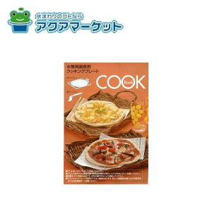 iC 604-100-000 VsiRCP-71Wpj 