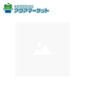 TOTO EKK81025WL3 Vc^[tWL 1650
