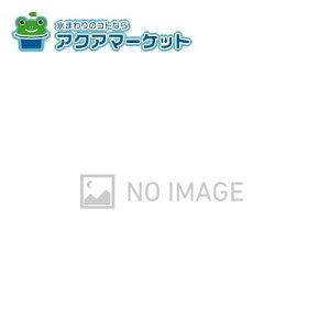 HH11033R@TOTO [^N֊pC{[^bvHH06021Np_Ct 