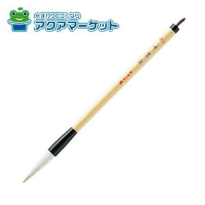 ygN[|zzIz  M M 玚 3 p PL-104 