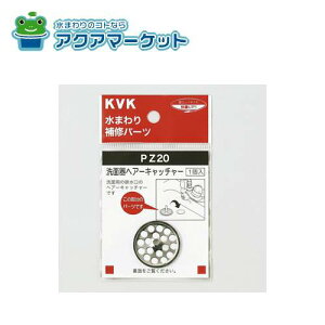 KVK@PZ20@ʊwA[Lb`[