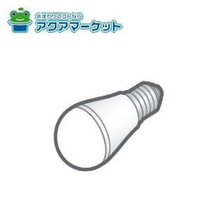 TOTO WN78407R d^LEDv