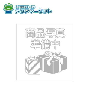 KVK Z664472 KF239EKF269p@pbL 