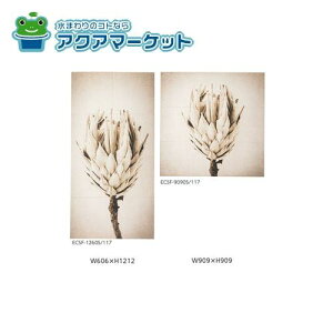 LIXILEINAX GRJbg Zt ECSF-1260S/117 ECSF-9090S/117