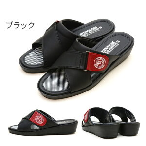 yzyM̓{IzGUINNES WOLD RECORDS am YT_ EEE 3E 3L L  OJ ֗ ɂ ₷ ItBX    v`v   i