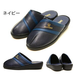 yM̓{IzyzOURAGAN Y T_ am  NbO T{ O Ol܂ EEE 3E L Y RtH[g ItBX    v`v   i 