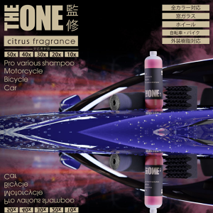 THE ONE ďC vdl J[Vv[ vdl e  1bg Zk  h~ c  ҂҂ sJsJ 񂽂  ԕ ΍ VgX 唻X|W グ̖ڂׂ