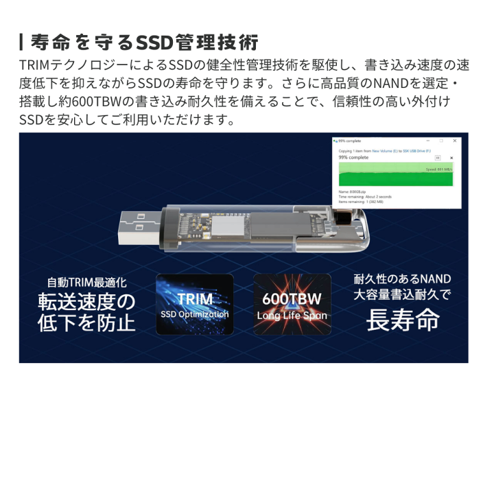 楽天市場】Vigoole ビグール USB SSD DRIVE 1TB 2TB 大容量 TypeC USB