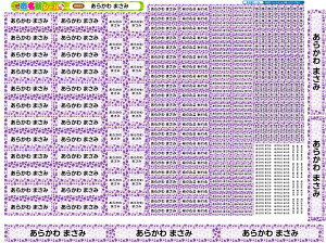 お名前シール 耐水 防水 最大255枚!なまえシール おなまえシール おなまえしーる 名前シール なまえシール ネーム 耐水 アイロン不要 漢字 女の子 男の子 シンプル おしゃれ キャラクター