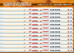 EM Zp BE2B IׂfUC80ȏI[֑  c w ii ̑ ei ̑i mxeB LOi N @l PR Ȃ܂ ҂