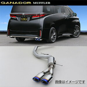 tXւ̔ő GANADOR Kih[ }t[ PASION EVO R5/6` TAHA40W Ft@CA PAS-109ST (lEꗣ͕ʓr)