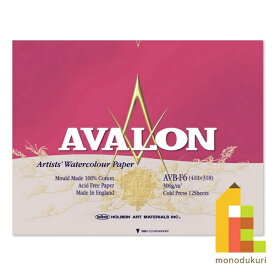 ホルベイン アヴァロン水彩紙 ブロック 300g 中目 AVB-F6