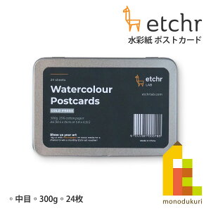 Gb`[(Etchr) ʎ |XgJ[h  300g 24 (275238)